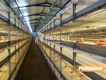 Broiler Chicken Cage Poultry Farm Project in Philippines