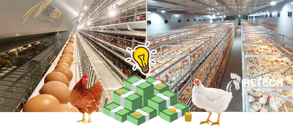 Regenerative farming with innovative Eggmobile concept - Poultry World