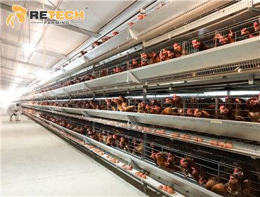 automatic ventilation system in poultry farm
