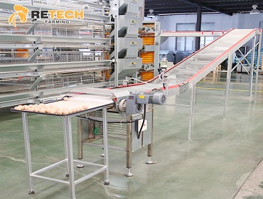 automatic layer farming cage equipment
